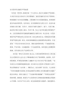 安全是对生命最庄严的承诺