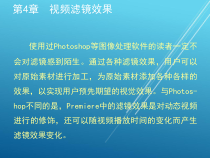 Premiere第4章-视频滤镜效果-(NXPowerLite)课件