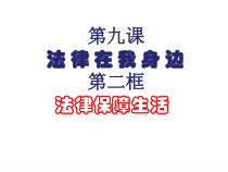 部编版道德与法治七年级下册4.9.2《法律保障生活》PPT课件2