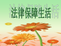 部编版道德与法治七年级下册4.9.2《法律保障生活》PPT课件11