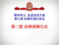 部编版道德与法治七年级下册4.9.2《法律保障生活》PPT课件14