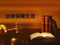 部编版道德与法治七年级下册4.9.2《法律保障生活》PPT课件16