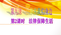 部编版道德与法治七年级下册4.9.2《法律保障生活》PPT课件10