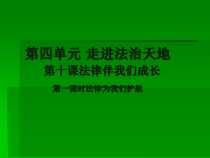 部编版道德与法治七年级下册4.10.1《法律为我们护航》PPT课件1