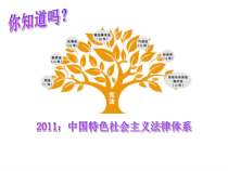 部编版道德与法治七年级下册4.10.1《法律为我们护航》PPT课件5