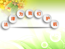 部编版道德与法治七年级下册4.10.1《法律为我们护航》PPT课件9