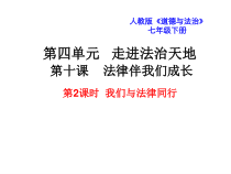 部编版道德与法治七年级下册4.10.2《我们与法律同行》PPT课件2