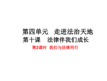 部编版道德与法治七年级下册4.10.2《我们与法律同行》PPT课件6