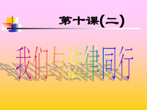 部编版道德与法治七年级下册4.10.2《我们与法律同行》PPT课件7