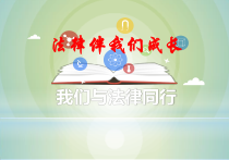 部编版道德与法治七年级下册4.10.2《我们与法律同行》PPT课件9