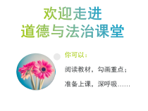 部编版道德与法治七年级下册4.10.2《我们与法律同行》PPT课件14
