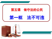 5.1《法不可违》PPT课件10-八年级上册道德与法治-部编人教版