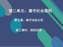 5.2《预防犯罪》PPT课件7-八年级上册道德与法治-部编人教版