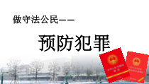 5.2《预防犯罪》PPT课件8-八年级上册道德与法治-部编人教版