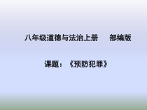 5.2《预防犯罪》PPT课件14-八年级上册道德与法治-部编人教版