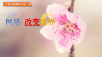 2.1《网络改变世界》PPT课件6-八年级上册道德与法治-部编人教版