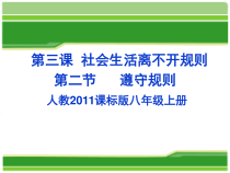 3.2《遵守规则》PPT课件6-八年级上册道德与法治-部编人教版