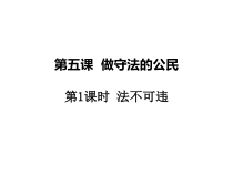 5.1《法不可违》PPT课件4-八年级上册道德与法治-部编人教版