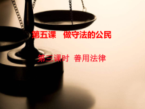 5.3《善用法律》PPT课件5-八年级上册道德与法治-部编人教版