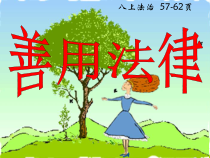 5.3《善用法律》PPT课件8-八年级上册道德与法治-部编人教版