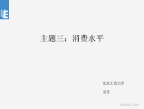 消费经济学消费水平