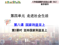 8.2《坚持国家利益至上》PPT课件3-八年级上册道德与法治-部编人教版