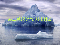 第三章财务预测和计划