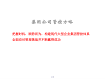 某集团管控模式的基本观点