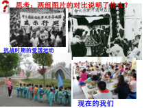 8.2《坚持国家利益至上》PPT课件9-八年级上册道德与法治-部编人教版
