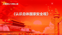9.1《认识总体国家安全观》PPT课件2-八年级上册道德与法治-部编人教版