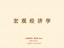 上海财经大学-宏观经济学