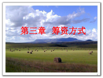 第3章筹资方式