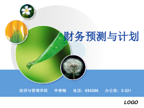 5财务预测与计划