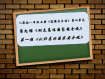 9.1《认识总体国家安全观》PPT课件14-八年级上册道德与法治-部编人教版