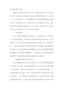 公司业务员转正总结