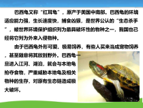 9.2《维护国家安全》PPT课件5-八年级上册道德与法治-部编人教版