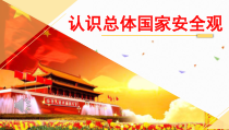 9.1《认识总体国家安全观》PPT课件10-八年级上册道德与法治-部编人教版