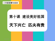 10.2《天下兴亡 匹夫有责》PPT课件3-八年级上册道德与法治-部编人教版