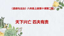 10.2《天下兴亡 匹夫有责》PPT课件9-八年级上册道德与法治-部编人教版