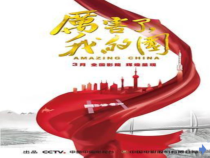 10.2《天下兴亡 匹夫有责》PPT课件15-八年级上册道德与法治-部编人教版