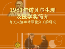 有关大脑半球职能分工的研究