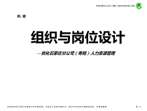 某公司寿险组织与岗位设计方案
