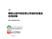 某开发公司组织设置与定岗定编
