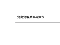 定岗定编原理、方法、操作4级