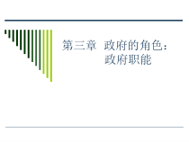 政府的角色和政府职能概述