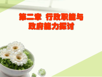 行政职能与政府能力探讨概论