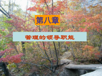 管理的领导职能