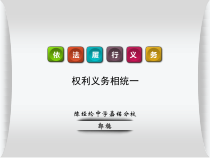 2.4.2《依法履行义务》PPT课件14-八年级下册道德与法治部编版