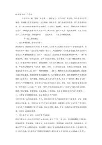 XX年度安全工作总结