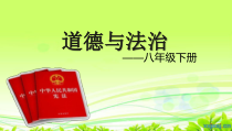 1.1.1《公民权利的保障书》PPT课件6-八年级下册道德与法治部编版